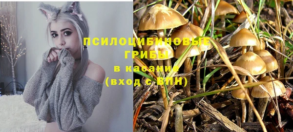 бошки Бронницы