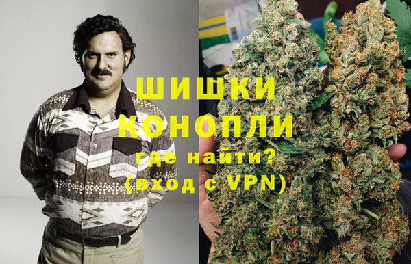 гидра Бородино