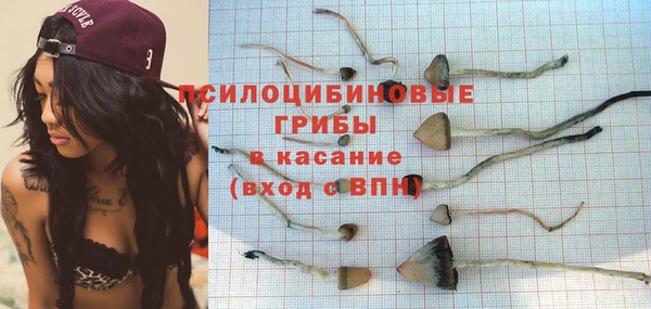 гидра Бородино