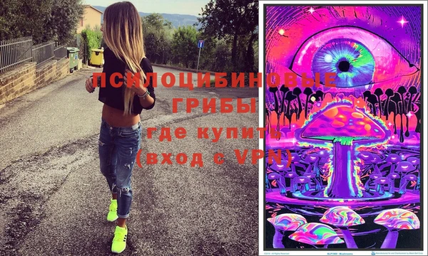 бошки Бронницы