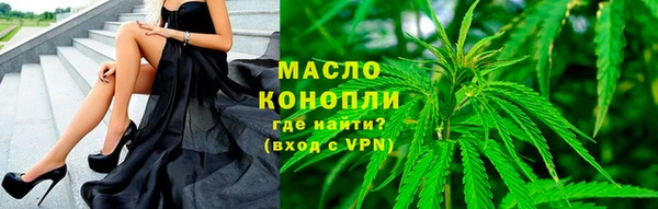 гидра Бородино