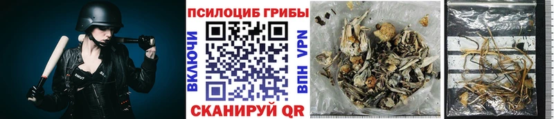 Псилоцибиновые грибы мицелий  Константиновск 